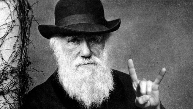 Darwin : La théorie de l'évolution en quelques fakes news