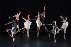 Des danseurs dans vos campus