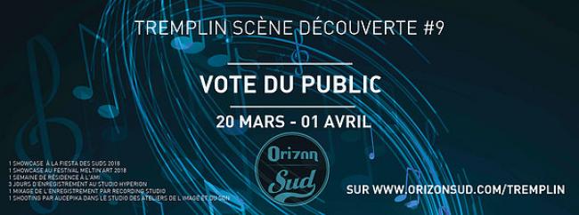 #9 édition Templin Scène Découverte : votez pour vos artistes préférés !