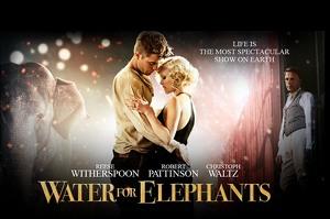 Amour, cirque et éléphant