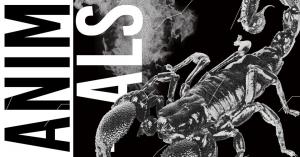 Animals ◊ House to techno Vol.12
