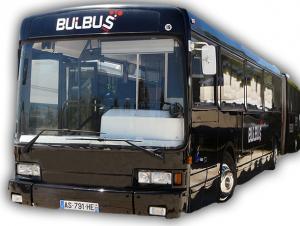 Bulbus