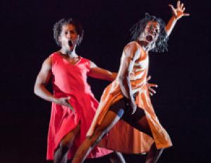 DANSE Soirée Lauréats "Danse l'Afrique danse!"