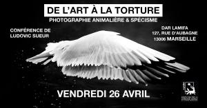 De l'Art à la torture - Photographie Animalière et spécisme