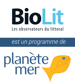 Découverte du patrimoine naturel du littoral du Frioul avec le programme de sciences participatives BioLit
