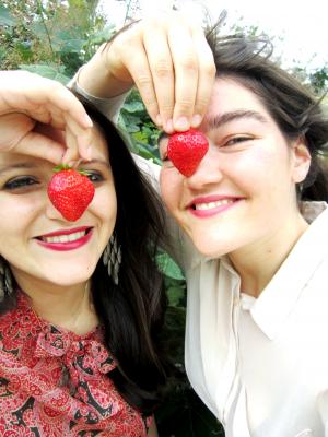 DISCO SALADS : Ramenez votre fraise