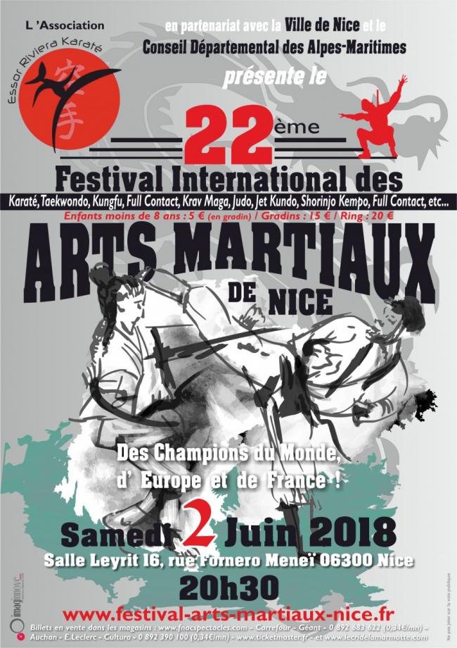 Festival Arts Martiaux