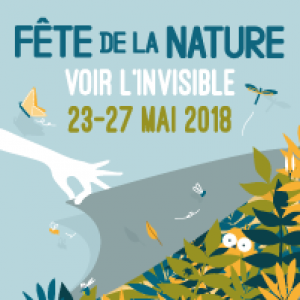 Pique-nique partagé sur le thème de la découverte de la biodiversité du littoral méditerranéen