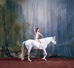Hate, tentative de duo avec un cheval - Ollioules