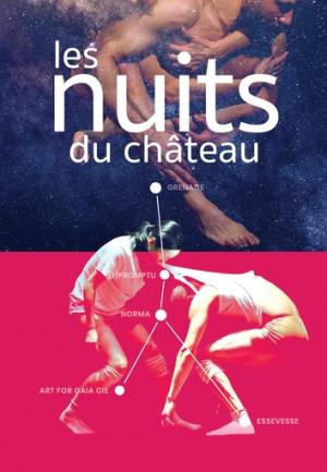 Les Nuits du Château : Festival de Danse de la Tour d'Aigues