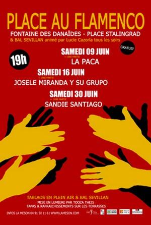 Place au Flamenco 2012 !
