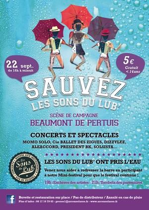Sauvez les Sons du Lub'