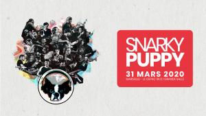Snarky Puppy