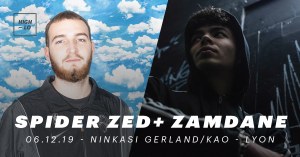 Spider ZED & Zamdane - Lyon