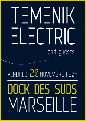 TEMENIK ELECTRIC & GUESTS