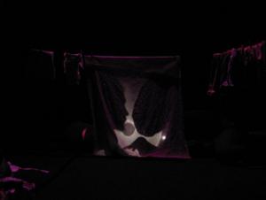 Théâtre - METAMORPHOSES, 3 CONTES