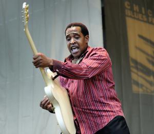Chicago Blues Festival