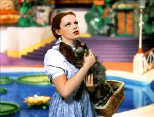 CINÉ FAMILLE LE MAGICIEN D'OZ