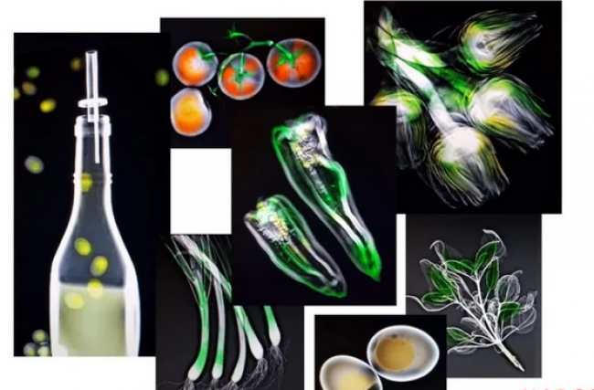 La Cuisine Niçoise aux rayons X