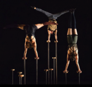 Les 7 doigts de la main, le cirque acrobatique de passage à Cannes