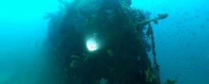 Raconter et filmer les mondes sous la mer